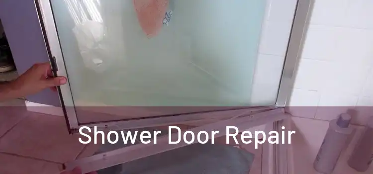  Shower Door Repair 